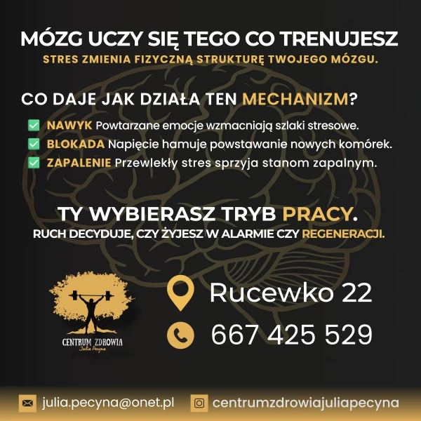 Mózg uczy się podczas regularnej aktywności